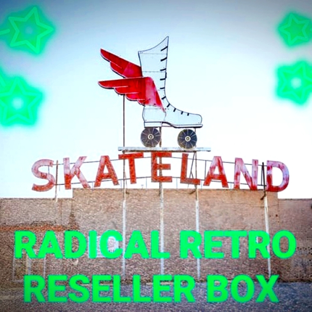 Retro/Vintage Mystery Reseller Box